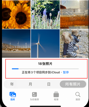 阳西苹果手机服务如何解决iPhone照片无法同步到 'iCloud 照片'