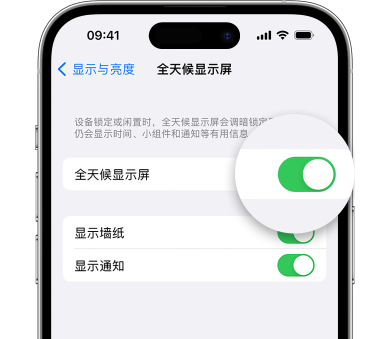 阳西苹果15预约维修分享iPhone15如何设置全天候显示屏幕可见 